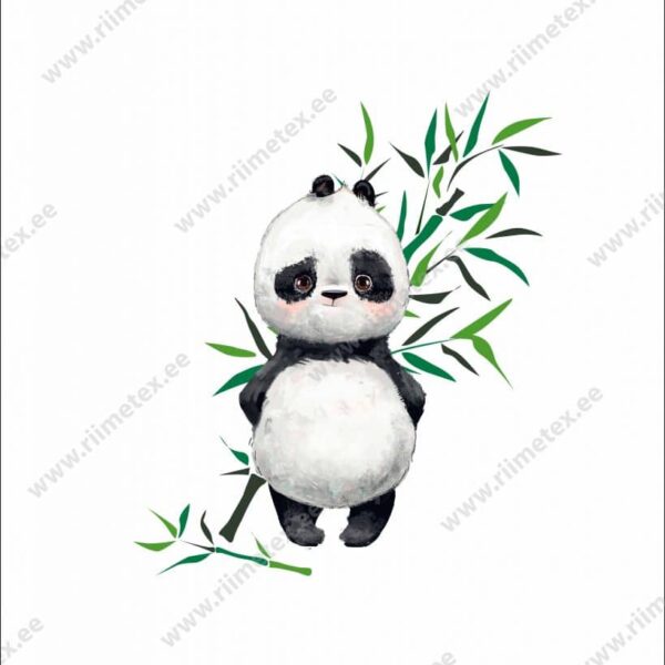 Panda bambusega, French Terry, paneel ca 40X50cm