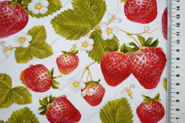 Trikotaažkangas maasikad valgel