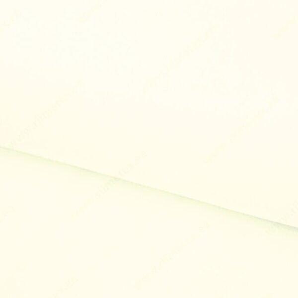 Soonik kreemvalge (Vanilla Ice) ca 70cm, avatud